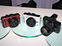 松下gf1數(shù)碼相機產(chǎn)品圖片29素材 it168數(shù)碼相機圖片大全